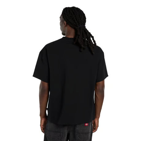 T-shirt Dickies Derby noir