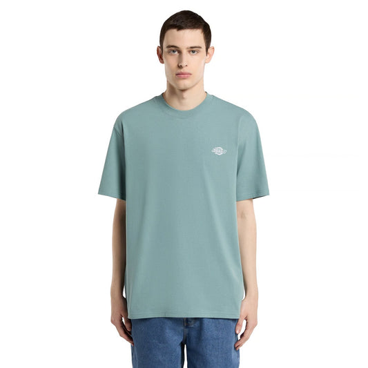 T-shirt Dickies Summerdale mer orageuse