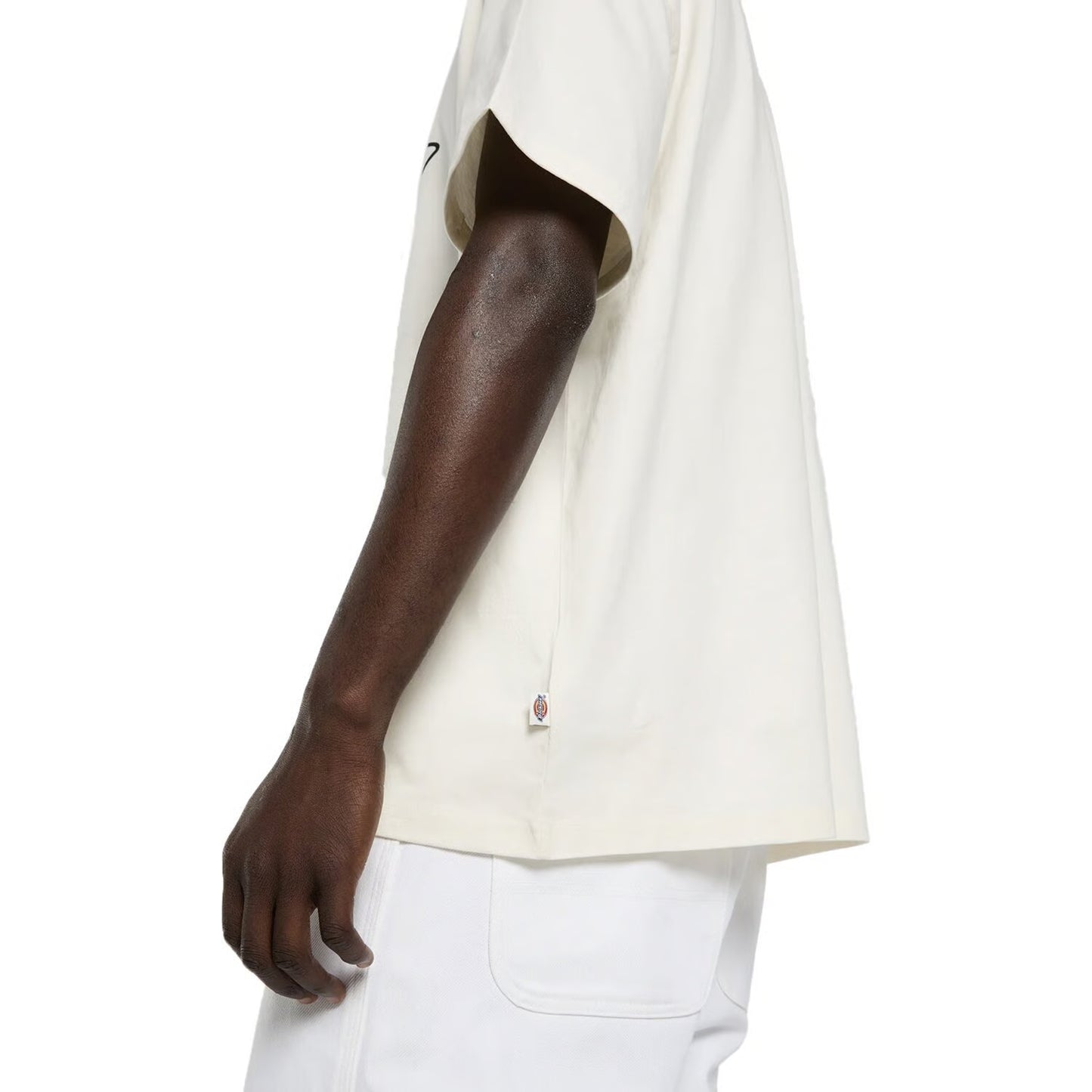 T-shirt Dickies Irondale aigrette
