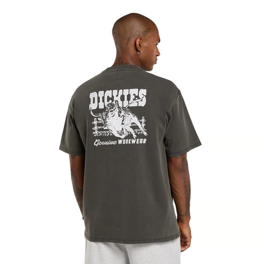 T-shirt Dickies Buchtell noir