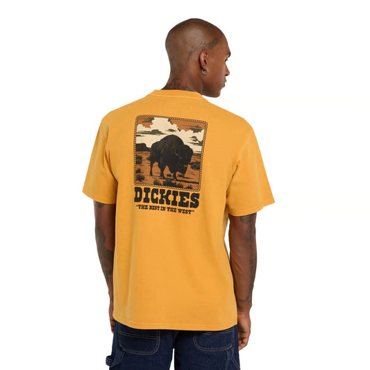 T-shirt Dickies Darrtown tournesol