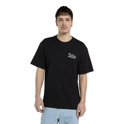 T-shirt Dickies Vernal noir