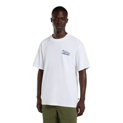 T-shirt Dickies Vernal blanc